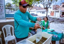 Caruaru antecipa mobilização do Dia D de Combate à Dengue para esta sexta (07)