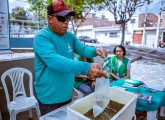 Caruaru antecipa mobilização do Dia D de Combate à Dengue para esta sexta (07)
